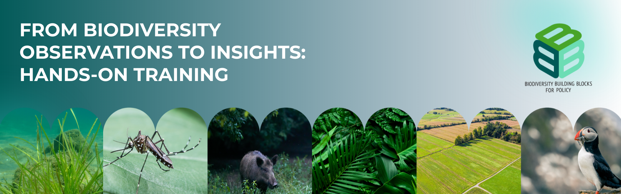 Featured image for the training